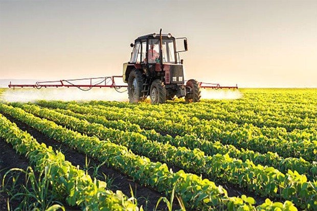 Tailandia lanzara plan para recuperar la agricultura hinh anh 1