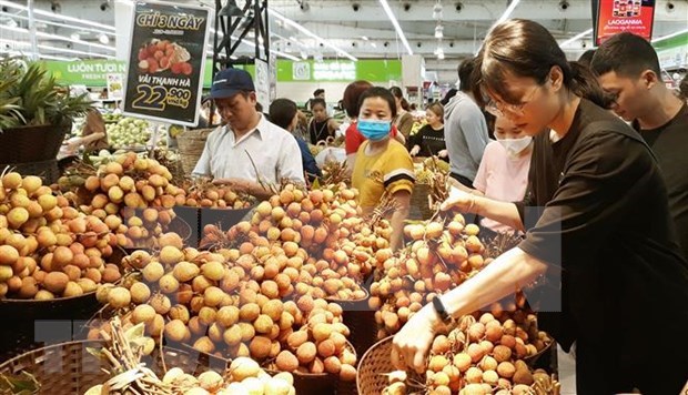 Busca Vietnam aumentar presencia de productos en mercados de la ASEAN hinh anh 1