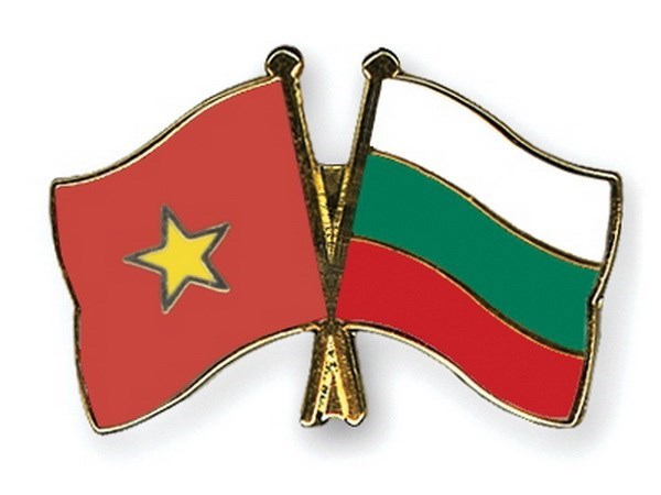 Efectuaran actividades en saludo al 70 aniversario de nexos diplomaticos Vietnam- Bulgaria hinh anh 1