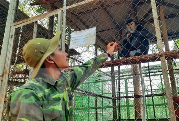 Mas de 40 animales liberados en el parque nacional de Quang Binh hinh anh 1