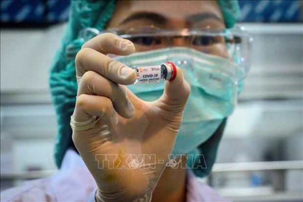 Tailandia probo con exito una vacuna contra COVID-19 en macaco hinh anh 1