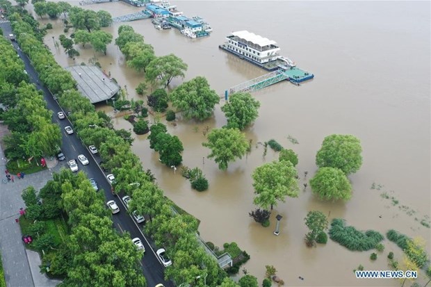 Dirigente partidista de Vietnam expresa solidaridad con China ante graves perdidas por inundaciones hinh anh 1