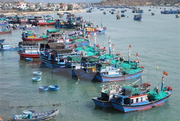 Mayoria de pesqueros vietnamitas equipados con dispositivos de monitoreo de viaje hinh anh 1