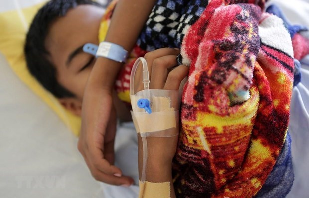 Myanmar alerta del alto riesgo de mortalidad por dengue hinh anh 1