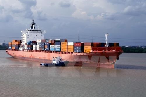 Vietnam: Trafico de mercancias por puertos maritimos mantiene crecimiento hinh anh 1