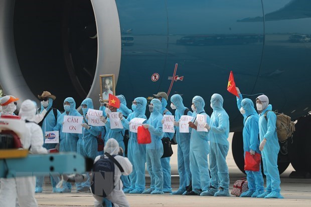 COVID- 19: 219 ciudadanos vietnamitas regresan desde Guinea Ecuatorial hinh anh 1