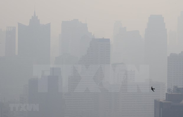 ASEAN trabaja para hacer frente a neblina transfronteriza hinh anh 1