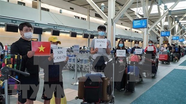 COVID-19: repatriados 313 vietnamitas de Corea del Sur hinh anh 1
