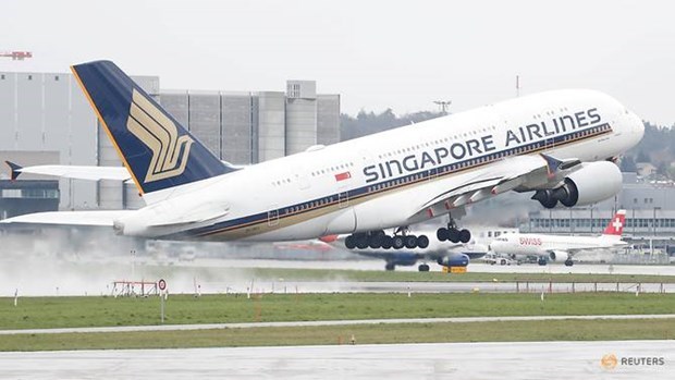 Grupo Singapore Airlines recorta miles de empleos por el COVID-19 hinh anh 1