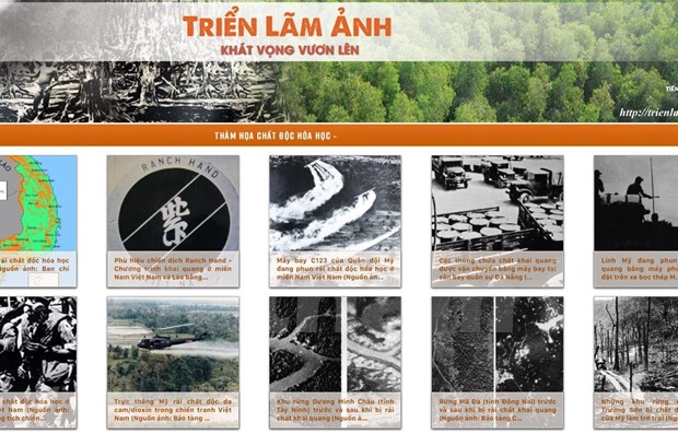 Efectuan exposicion de fotos y seminario sobre secuelas de Agente Naranja en Vietnam hinh anh 1