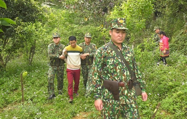 Condenan en Vietnam a prision a extranjeros por trafico ilegal de personas hinh anh 1