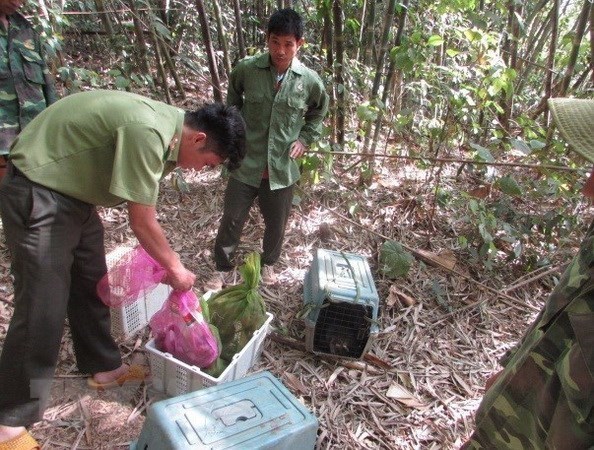 Alianza Estrategica Global elogia logros de Vietnam en proteccion ciudadana y conservacion de biodiversidad hinh anh 1