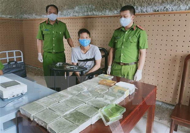 Desarman red de narcotrafico en Hanoi hinh anh 1