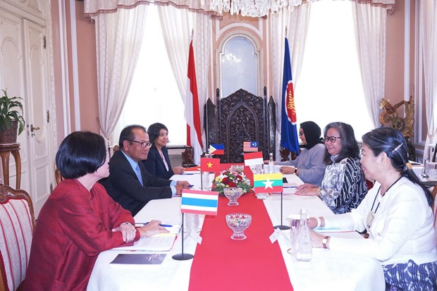 Vietnam asume la presidencia rotatoria del Comite de la ASEAN en la Republica Checa hinh anh 1
