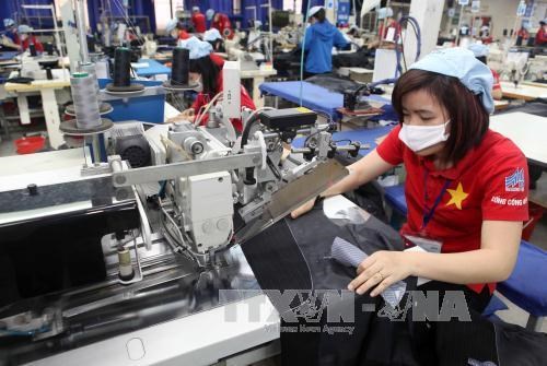 Vietnam ingresa mas de 19 mil millones de dolares de las ventas de textiles y confecciones hinh anh 1