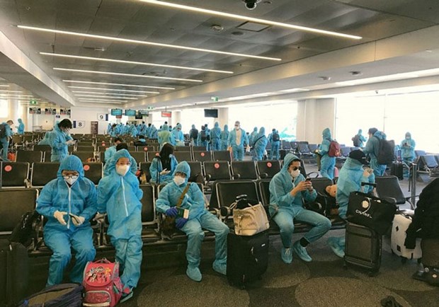 Repatrian a 350 ciudadanos vietnamitas desde Japon hinh anh 1