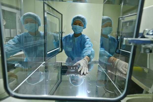 Vietnam reporta cinco casos nuevos del COVID-19 hinh anh 1