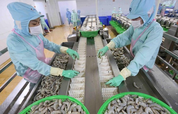 Crecen exportaciones de camarones de Vietnam a la Union Europea hinh anh 1