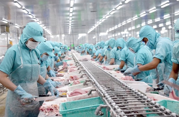 Produccion y exportaciones vietnamitas de pescado Tra enfrentan desafios hinh anh 1