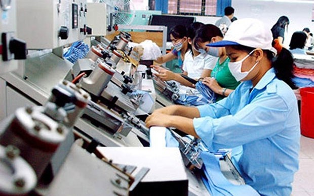 Aumenta el numero de nuevas empresas en Vietnam hinh anh 1