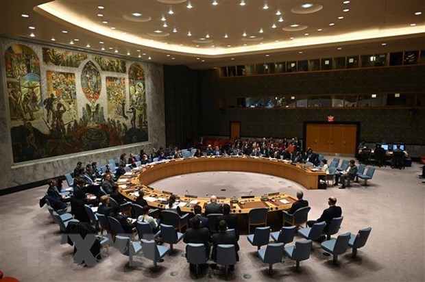 Vietnam valora esfuerzos conjuntos de la ONU y UA en impulso de la paz en Africa hinh anh 1