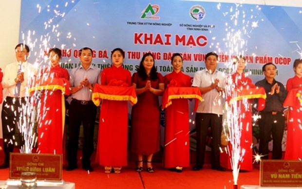 Desarrolla en Hanoi feria de promocion de productos agricolas regionales hinh anh 1