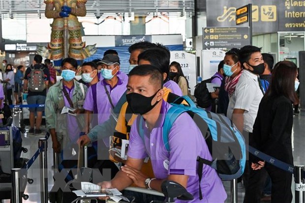 Tailandia exige a los trabajadores migrantes renovar documentos laborales hinh anh 1