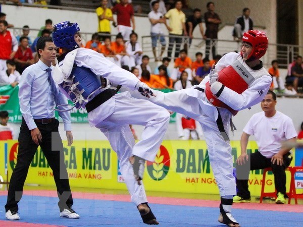 Corea del Sur respalda a Vietnam en desarrollo de Taekwondo hinh anh 1
