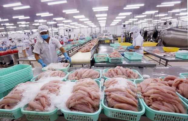Exporta provincia vietnamita de Khanh Hoa primer lote de atun a UE hinh anh 1