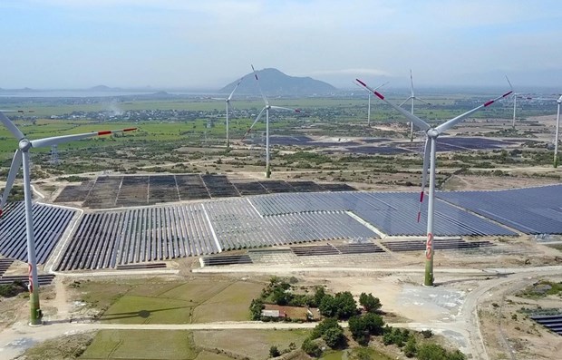 Provincia vietnamita de Ninh Thuan por convertirse en centro de energia renovable hinh anh 1