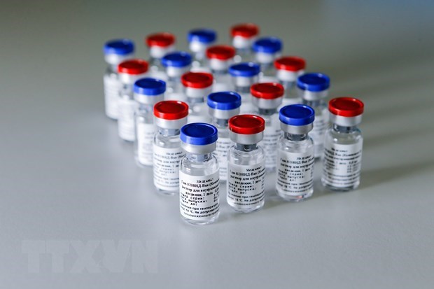 Vietnam compra vacunas contra coronavirus de socios extranjeros, afirma su portavoz hinh anh 1