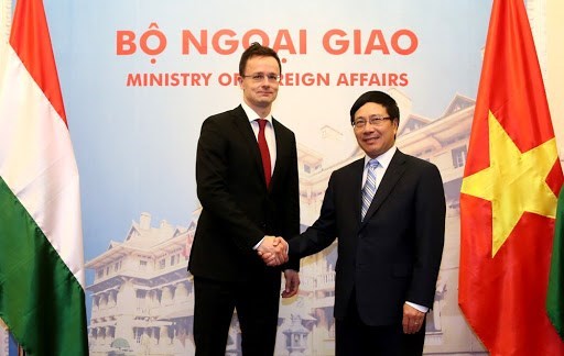 Ministro de Asuntos Exteriores y Comercio de Hungria visitara Vietnam hinh anh 1