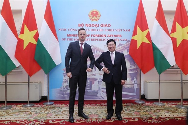 Vietnam y Hungria cooperan en el sector financiero hinh anh 1