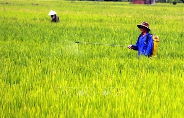 Vietnam celebra acto por el aniversario 40 del Dia Mundial de la Alimentacion hinh anh 1
