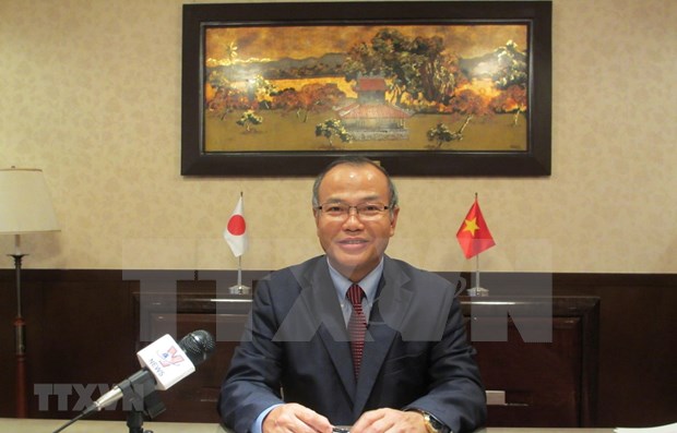 Relaciones Vietnam-Japon crean bases para la cooperacion en el Sudeste Asiatico, segun diplomatico hinh anh 1