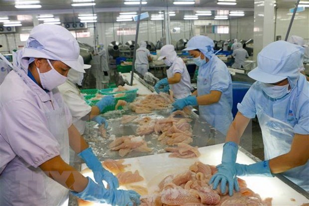 Preven reduccion de 20 por ciento de exportaciones acuaticas de Vietnam a UE en 2020 hinh anh 1