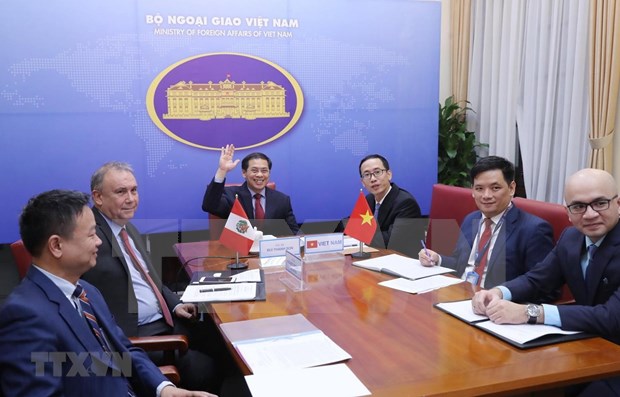 Vietnam y Peru efectuan consulta politica en linea hinh anh 1
