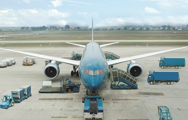 Vietnam Airlines recupera mas rutas domesticas en octubre hinh anh 1