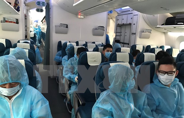 Casi 450 ciudadanos vietnamitas regresan de Corea del Sur hinh anh 1