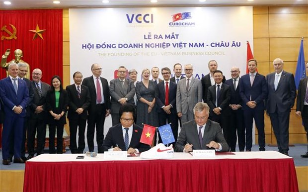 Presentan el Consejo empresarial Vietnam-Europa hinh anh 1
