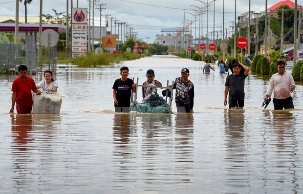 Inundaciones causan 36 muertes en Camboya hinh anh 1