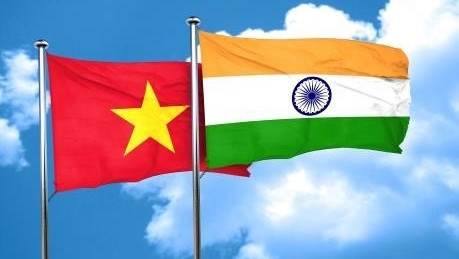 Vietnam y la India por impulsar cooperacion en turismo en periodo posCOVID-19 hinh anh 1