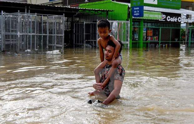 Camboya intensifica los esfuerzos de rescate ante inundaciones hinh anh 1