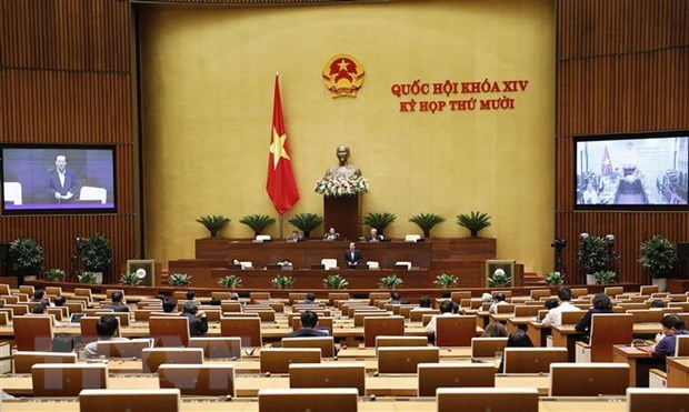 Legisladores vietnamitas proponen recuperar superficie de bosques naturales destruidos hinh anh 1