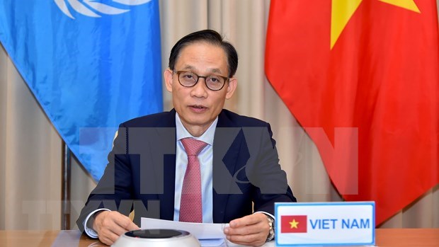 Vietnam aboga por establecer relaciones de amistad entre los paises y respetar la Carta de la ONU hinh anh 1
