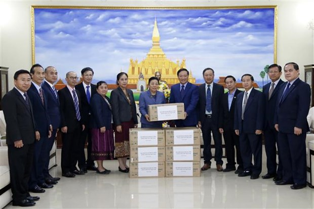 Vietnam apoya a Laos en la lucha contra el COVID-19 hinh anh 1