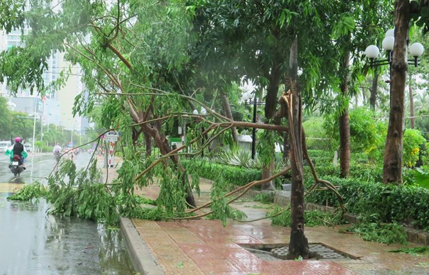 Tifon Etau deja dos muertos en la region central de Vietnam hinh anh 1