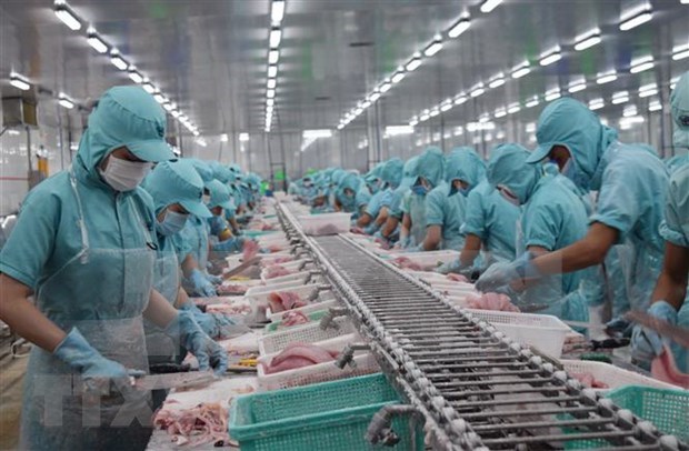 Vietnam podria ingresar fondo multimillonario por exportaciones de pescado Tra en 2020 hinh anh 1