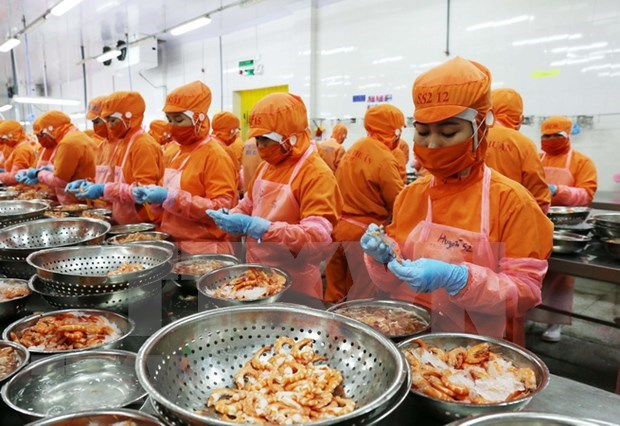 Exportaciones de camarones de Vietnam a Canada crecen en primeros 10 meses de 2020 hinh anh 1