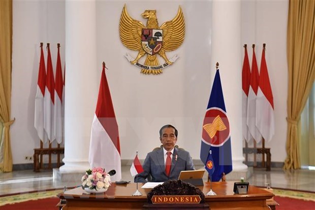 Presidente de Indonesia propone impulsar la digitalizacion en el contexto de COVID-19 hinh anh 1